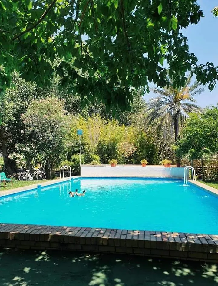 Alojamiento Rural El Molino De Benalup Villa Benalup-Casas Viejas